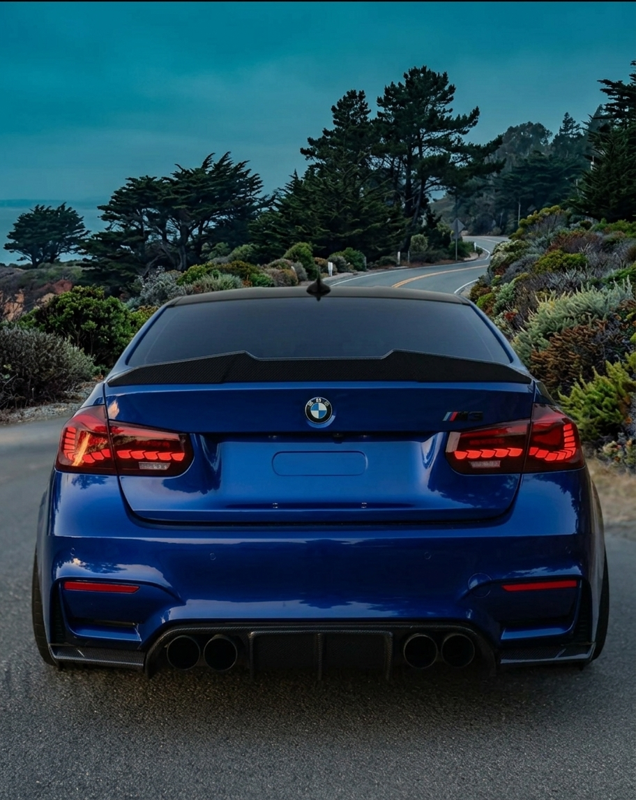 BMW F82 M4 V-Style Rear Diffuser — 3-Piece — Wet Carbon Fiber